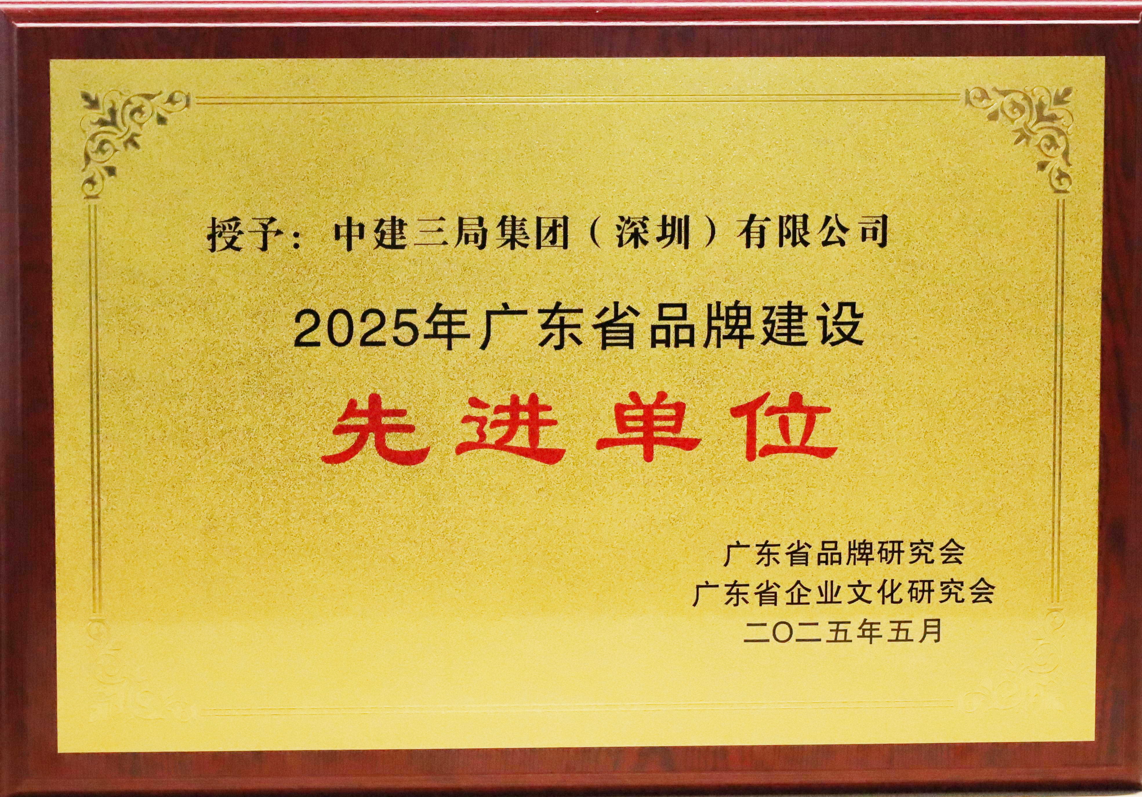 广东省品牌建设先进单位.JPG
